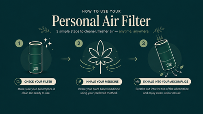 Personal Air Filter (Black & Sage)